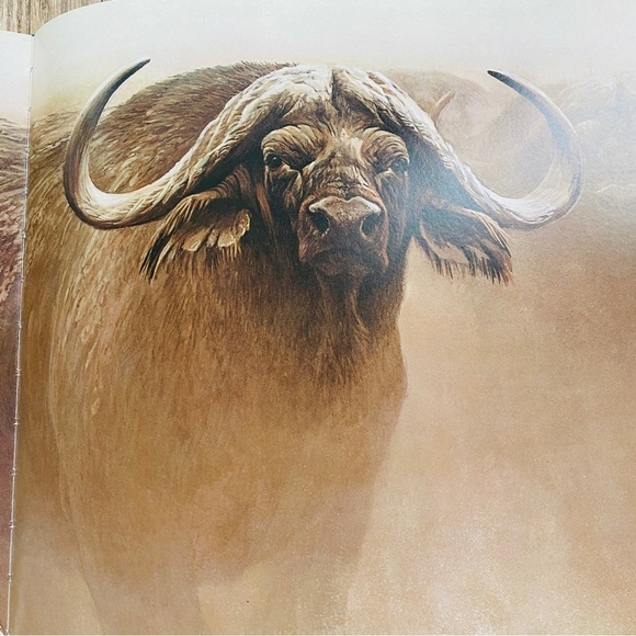 𝅺ROBERT Bateman book “the art of Robert Bateman” animals pictures navy blue - Picture 5 of 14